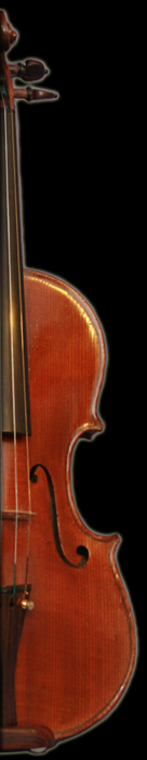 Violin
